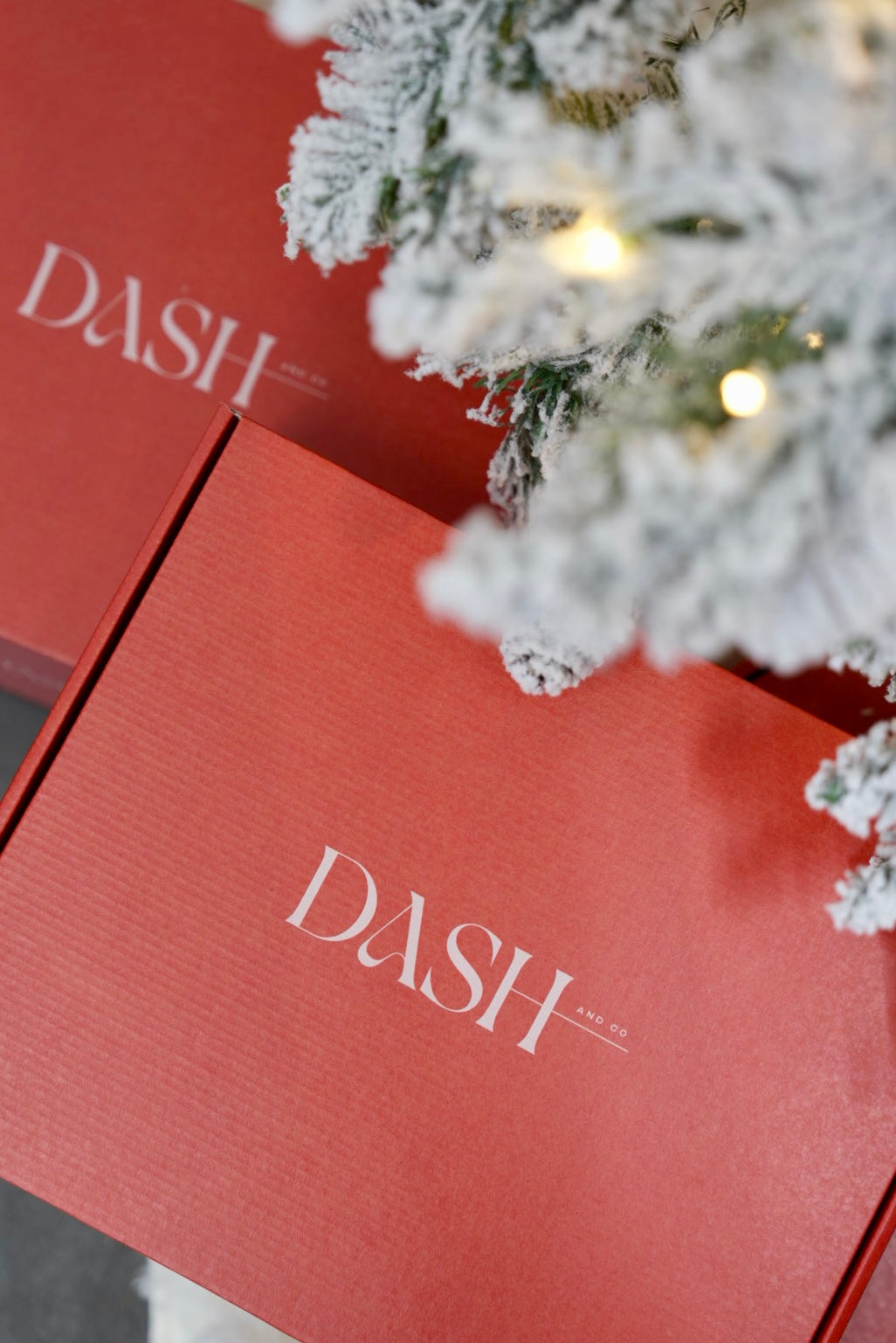 Dash Holiday Box